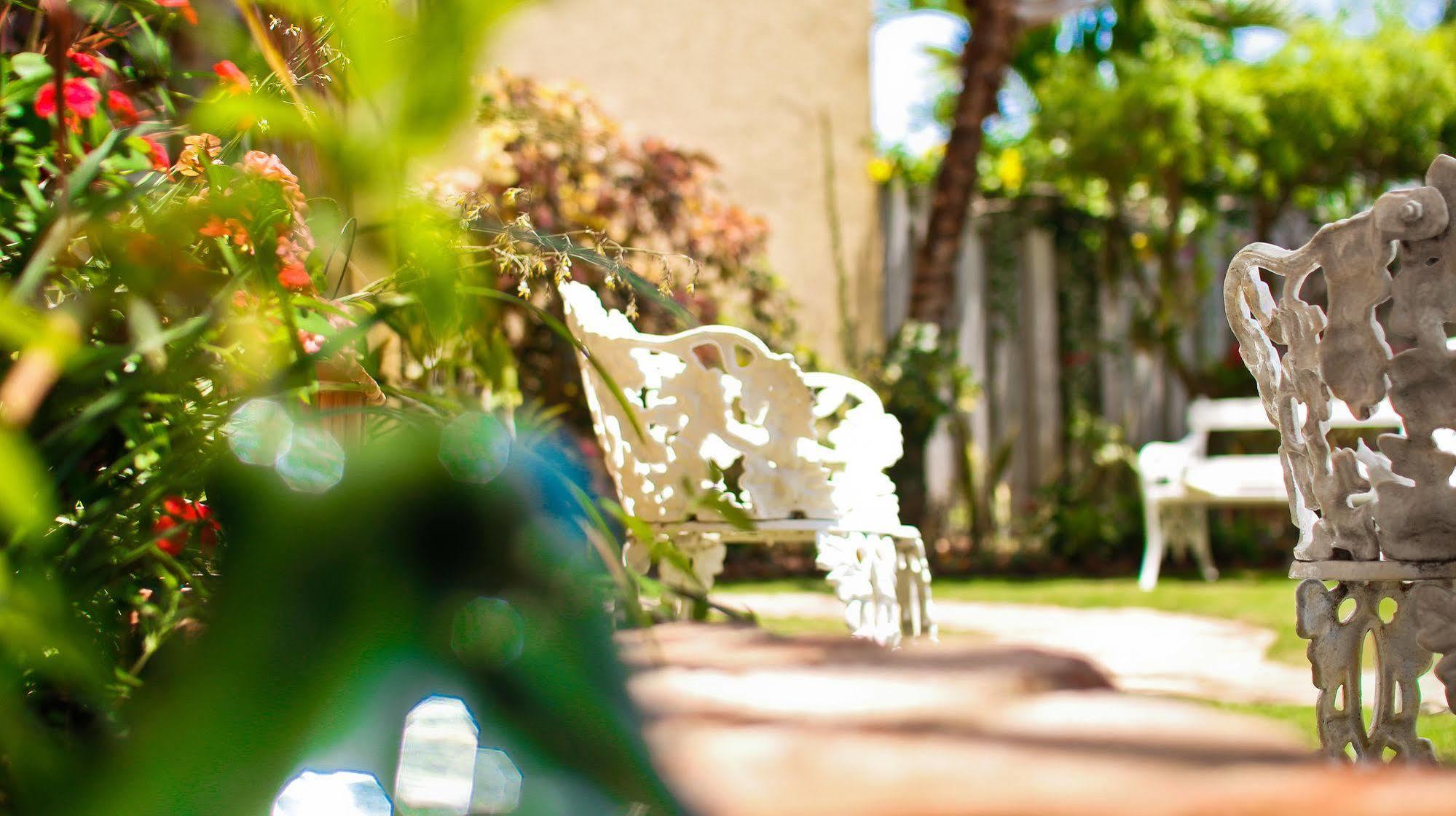 Cattleya Luxury Suites Kingston Bagian luar foto
