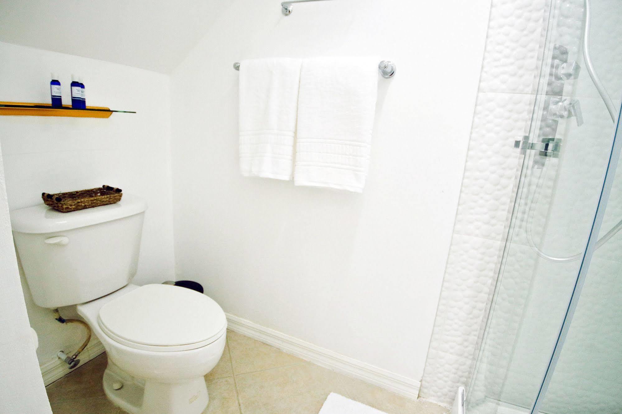 Cattleya Luxury Suites Kingston Bagian luar foto