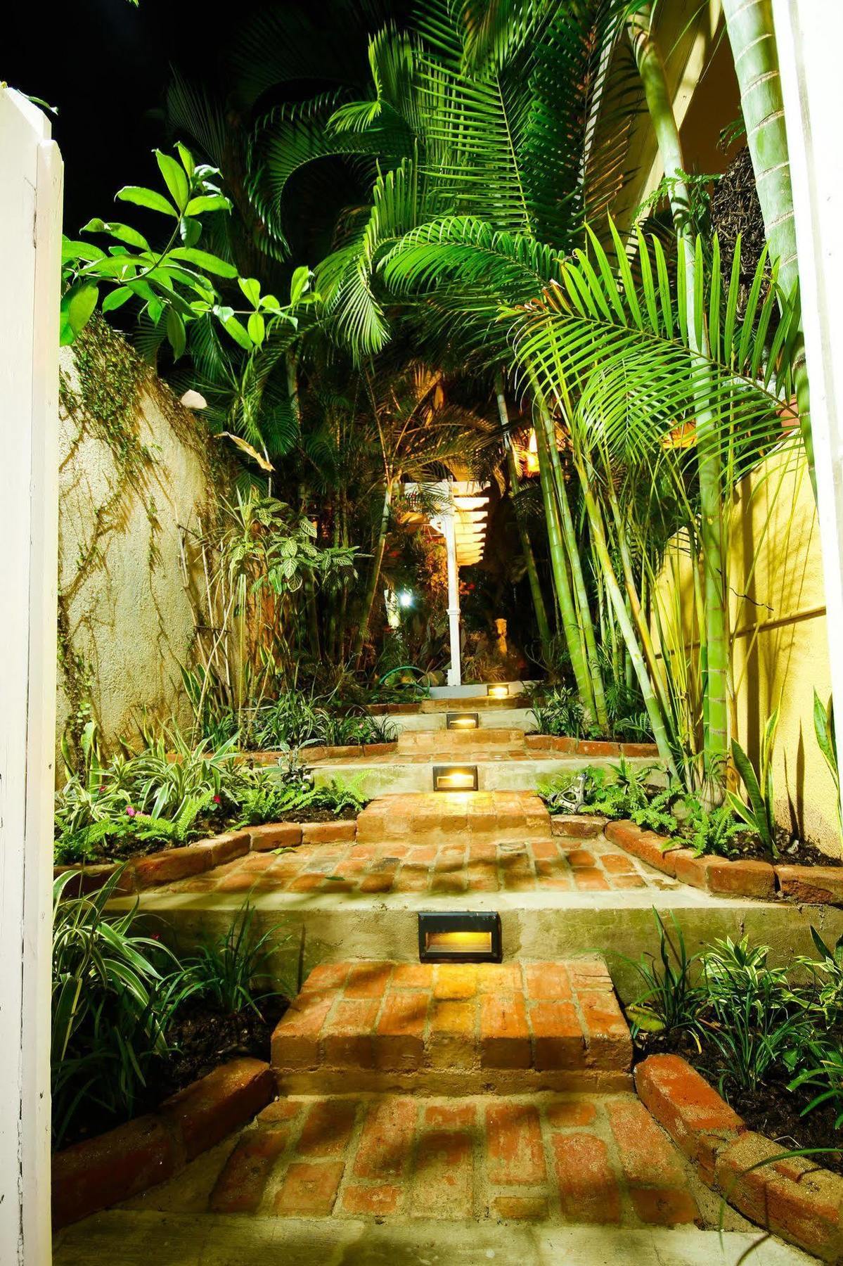 Cattleya Luxury Suites Kingston Bagian luar foto