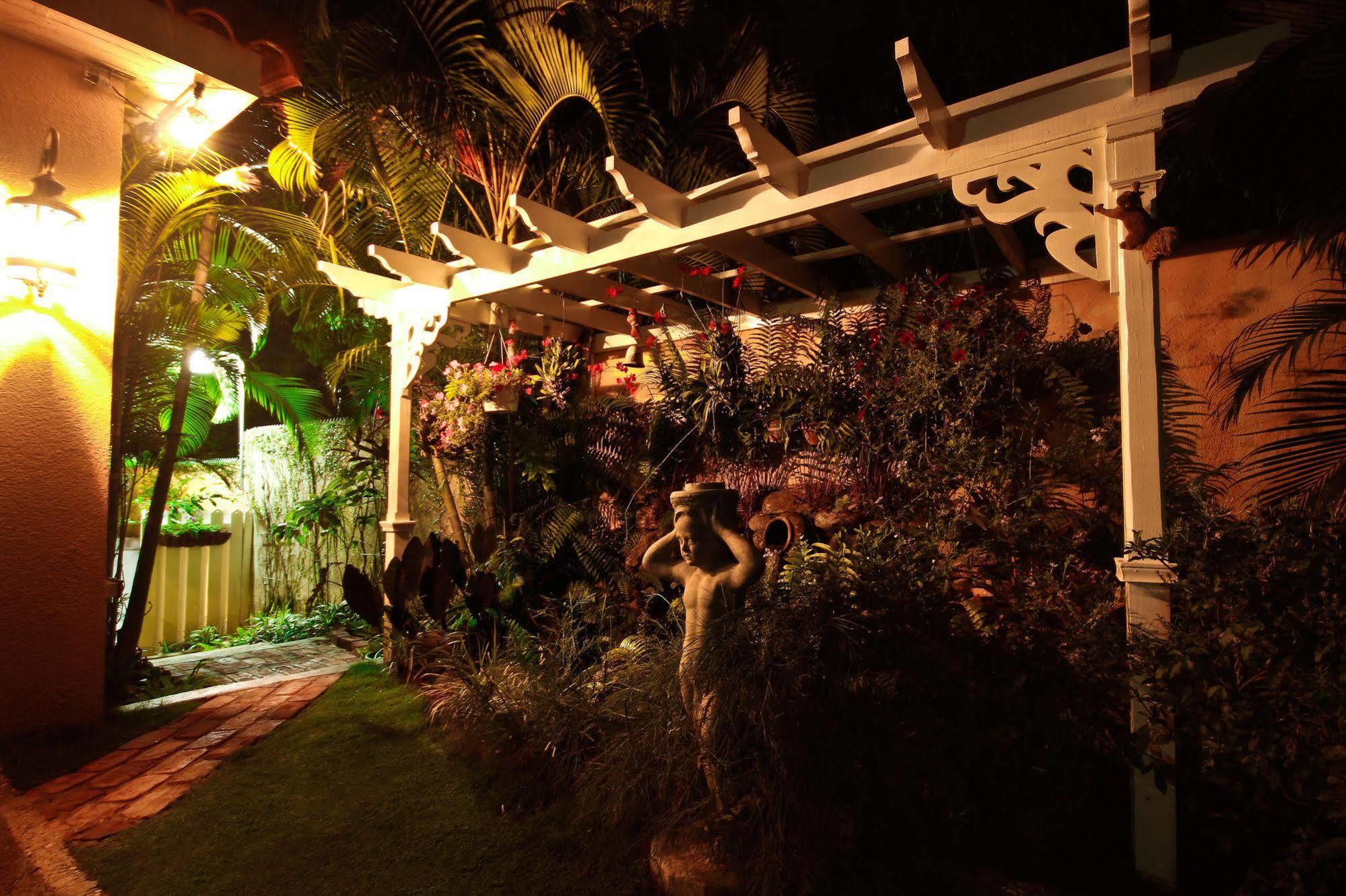 Cattleya Luxury Suites Kingston Bagian luar foto