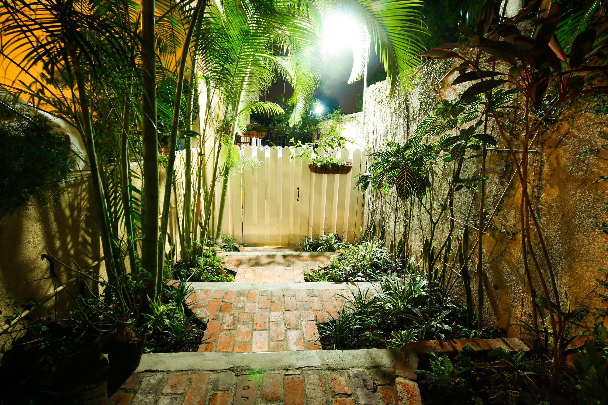 Cattleya Luxury Suites Kingston Bagian luar foto