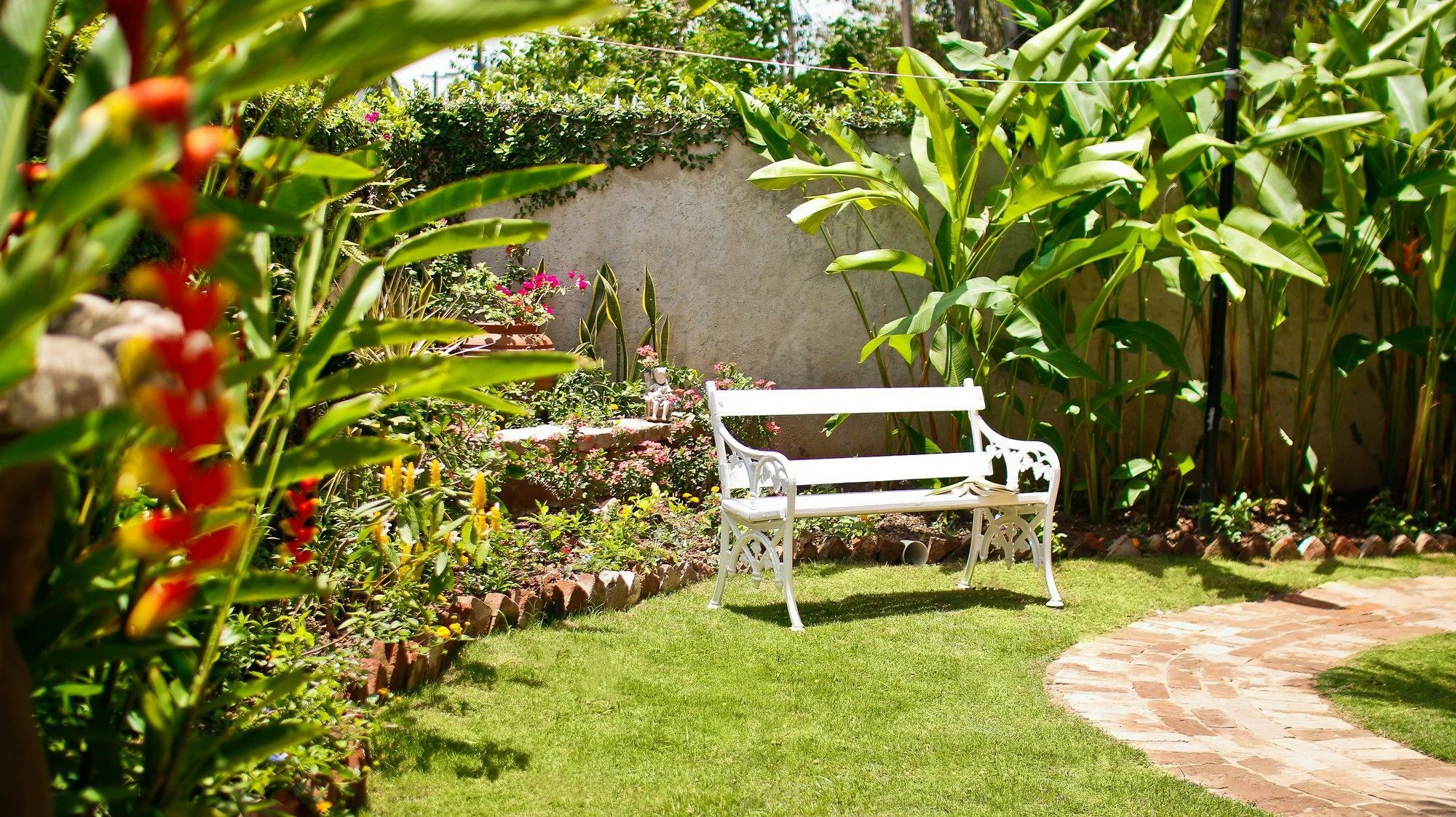 Cattleya Luxury Suites Kingston Bagian luar foto