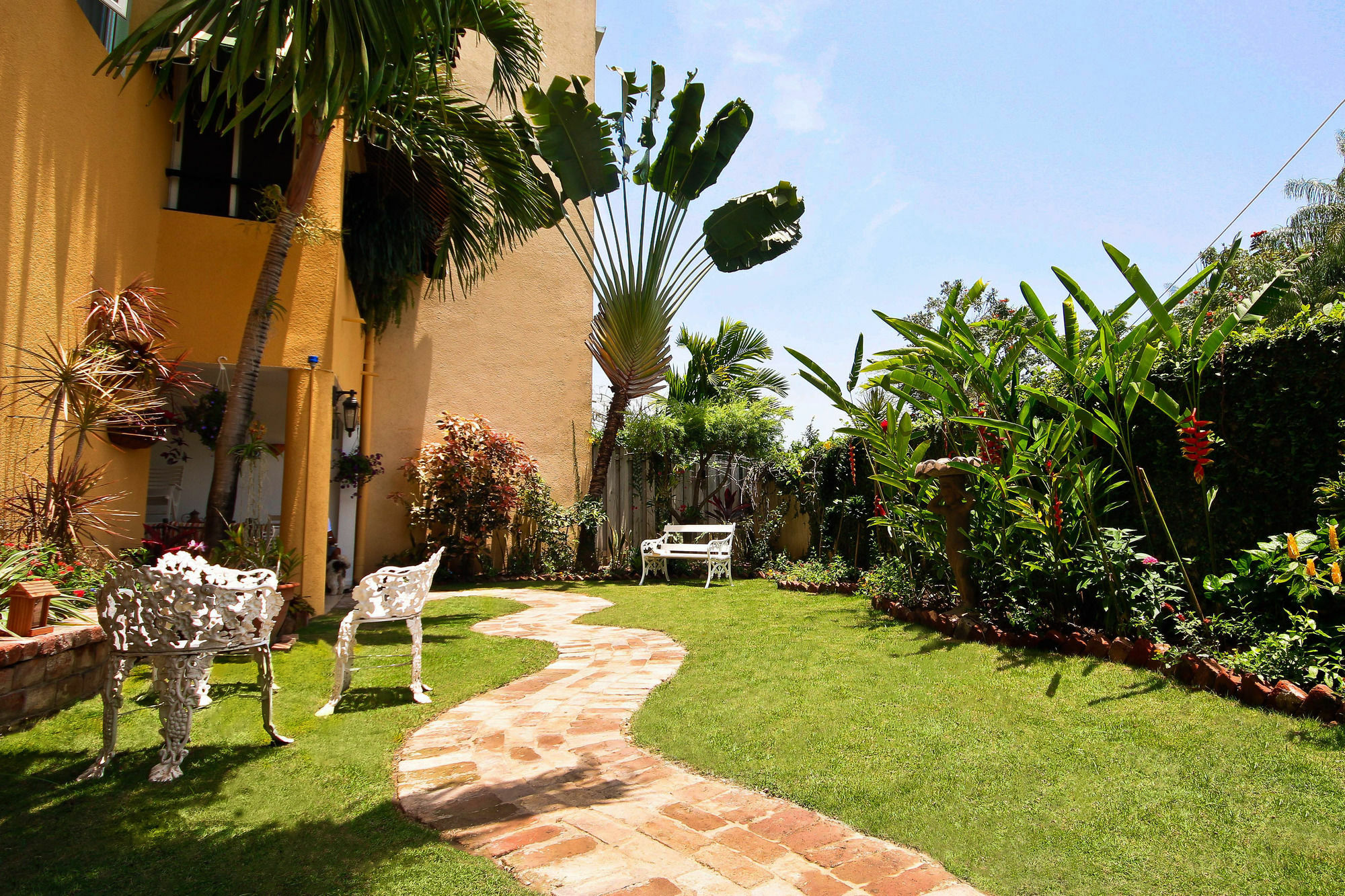 Cattleya Luxury Suites Kingston Bagian luar foto