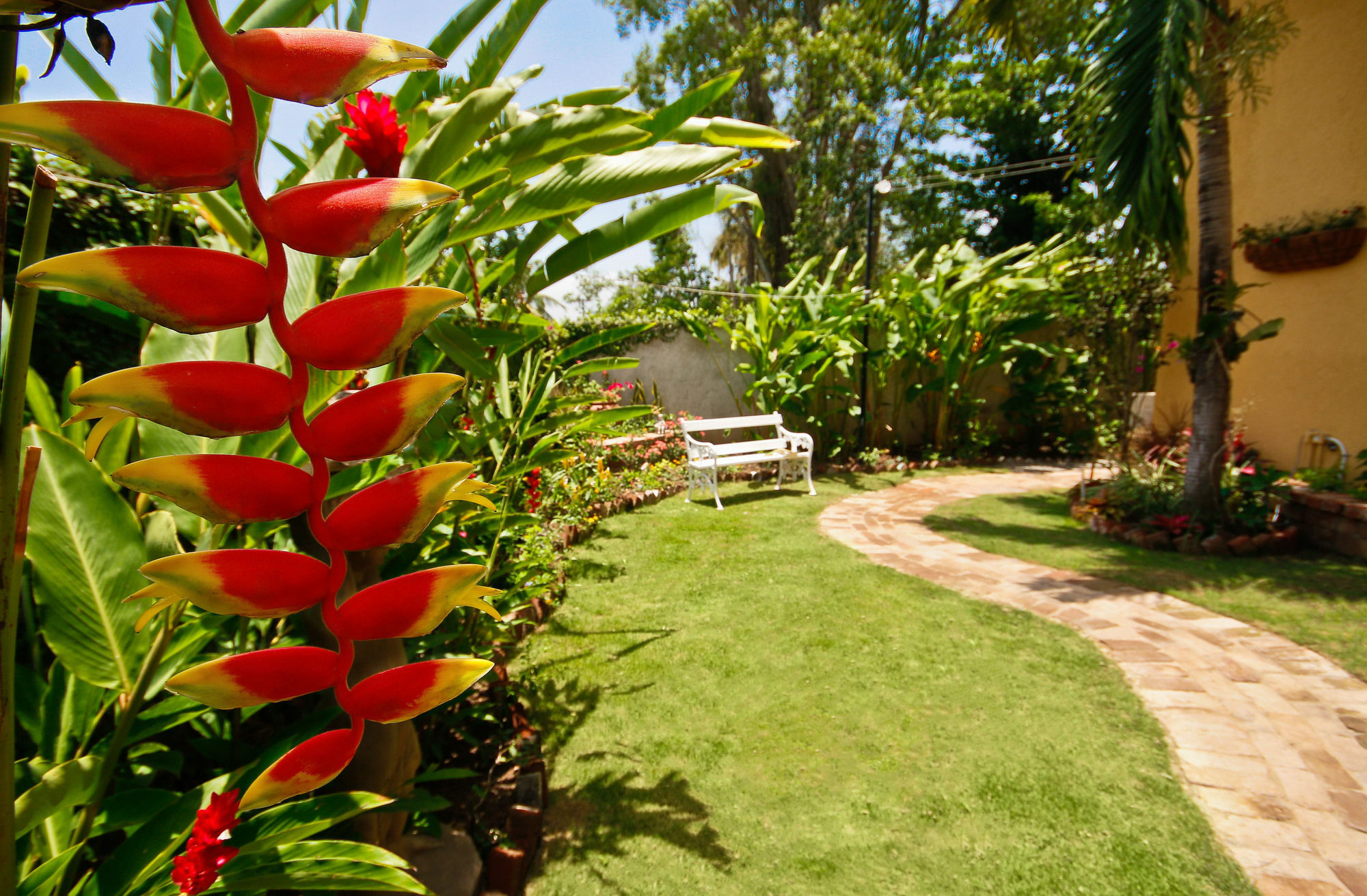 Cattleya Luxury Suites Kingston Bagian luar foto